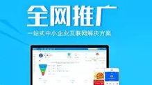企業(yè)全網(wǎng)營(yíng)銷全攻略 借助互聯(lián)網(wǎng)實(shí)現(xiàn)高效客戶引流與網(wǎng)絡(luò)推廣