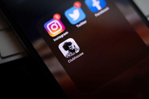 創(chuàng)作者平臺的下一步 學會營銷 上